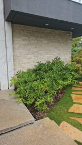 Revestimento Rock Face em área externa